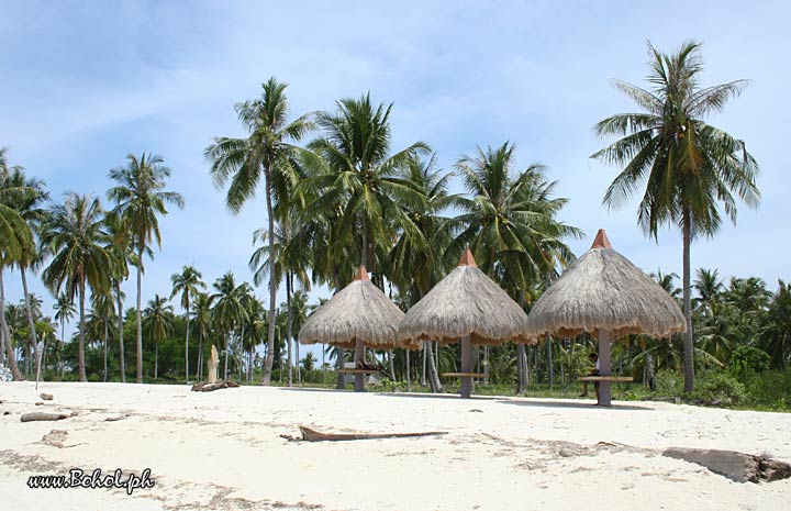 Pamilacan island beach 