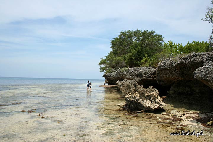 Pamilacan island