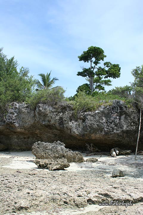 Pamilacan island