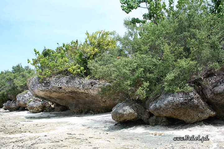 Pamilacan island