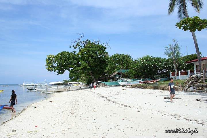 Pamilacan island