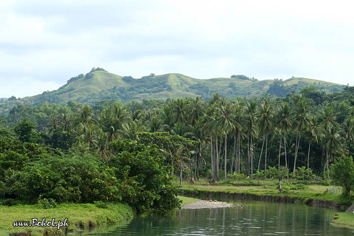 Bohol's Landscape