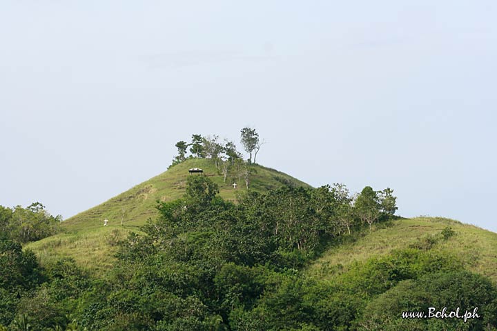 Bohol's Landscape