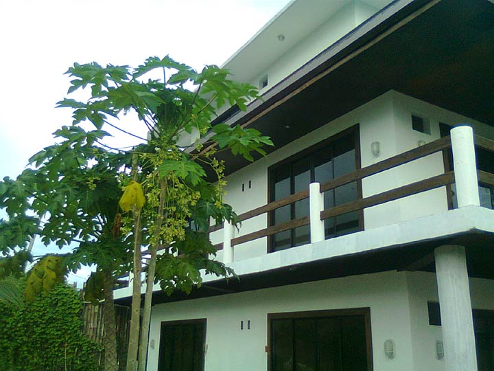 Panglao Palms Apartelles