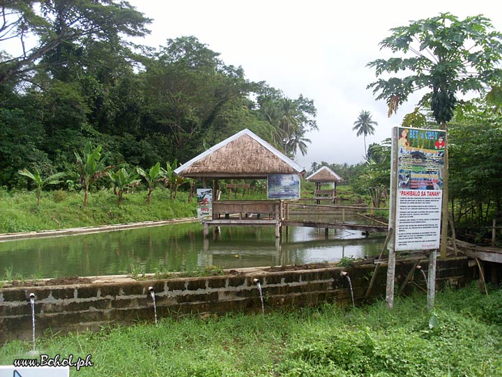 Bet 'n Choy Farm and Fishpond