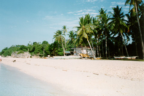 Alona Beach