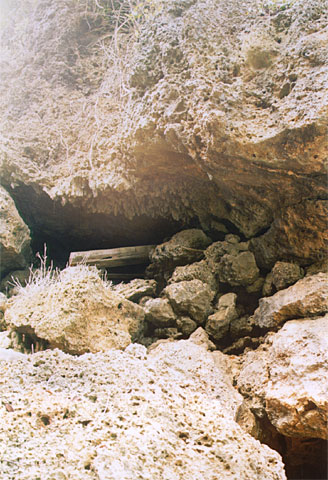 Guindulman Grave Site