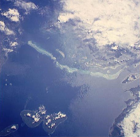 Coral reefs North of Bohol