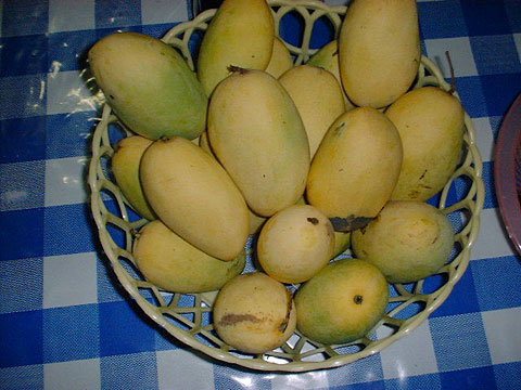 Mangoes