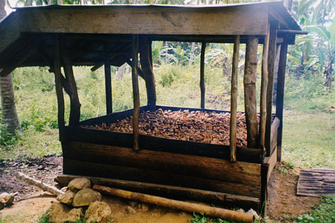 Drying copra