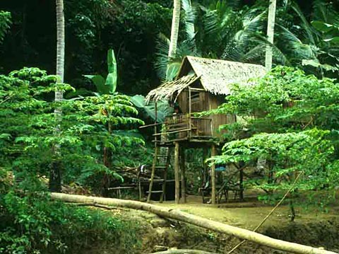 Along Loboc River