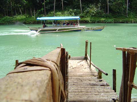 View from Nuts Huts