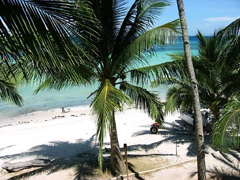 A Beach on Panglao