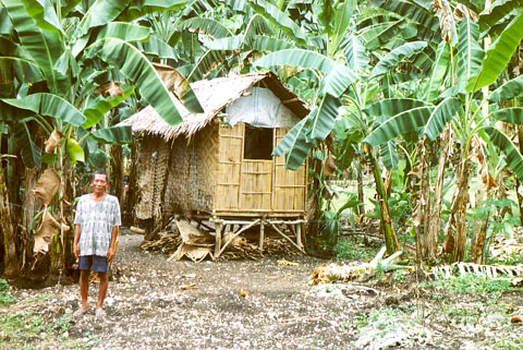 Bohol Plaza's neighbor