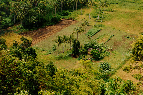 View from the Chocolate Hills