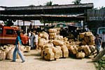 Antequera Market